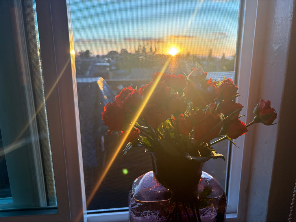 Sunset Studio