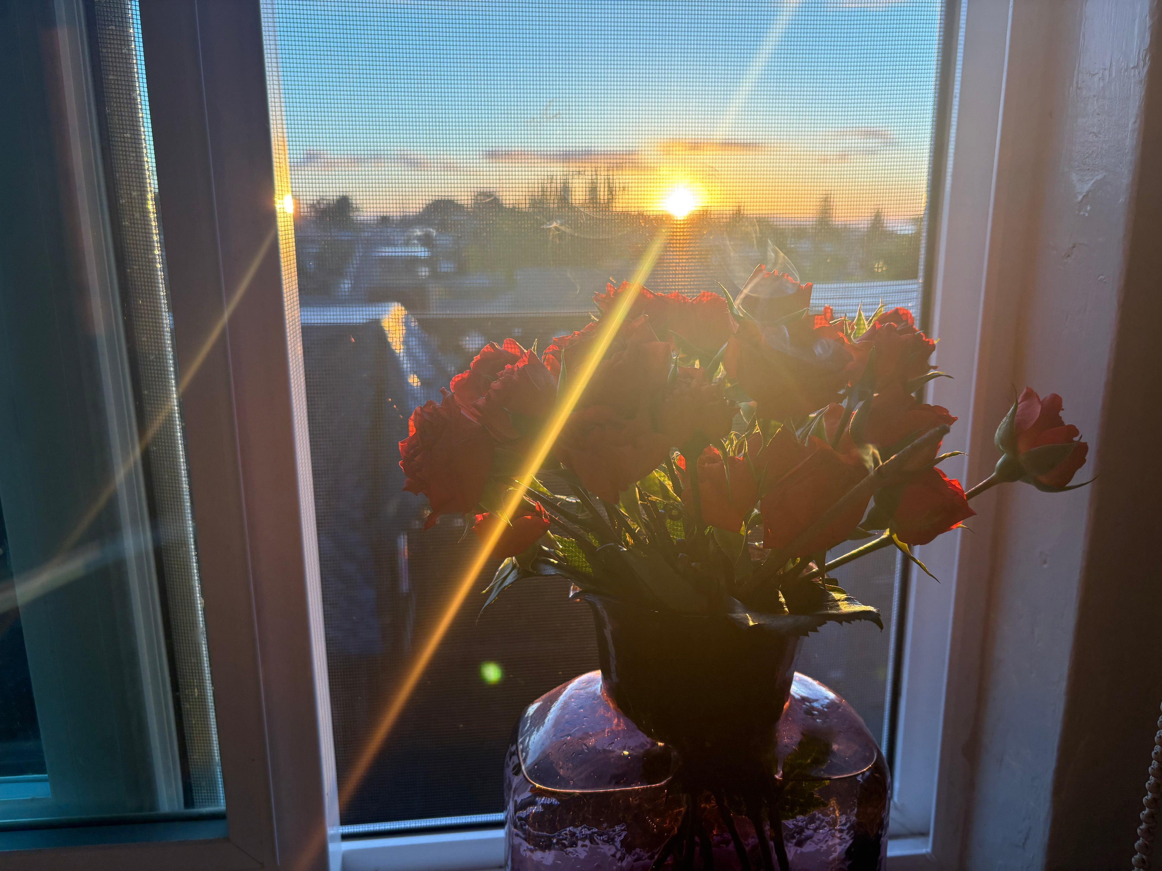 Sunset Studio